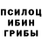 Псилоцибиновые грибы Magic Shrooms BULTAOREUNE