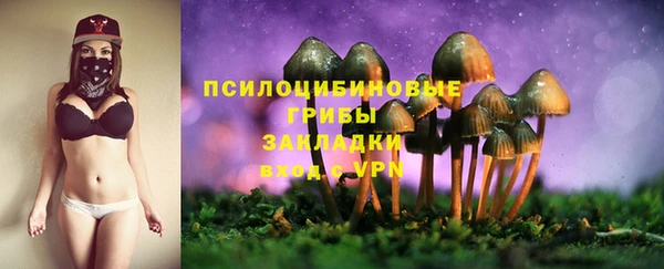 стаф Пересвет