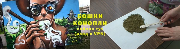 трава Переславль-Залесский