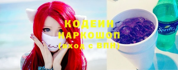 мдпв Пестово