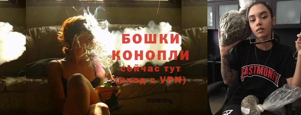трава Переславль-Залесский