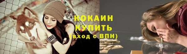 мдпв Пестово