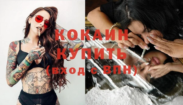 мдпв Пестово