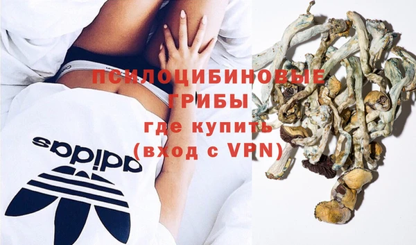 мдпв Пестово