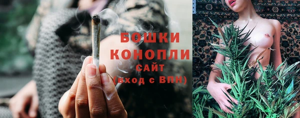 трава Переславль-Залесский