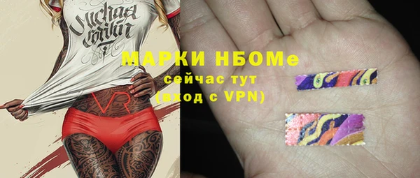 стаф Пересвет