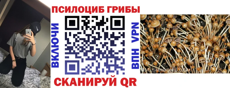 цены наркотик  Калининград  Псилоцибиновые грибы Magic Shrooms 