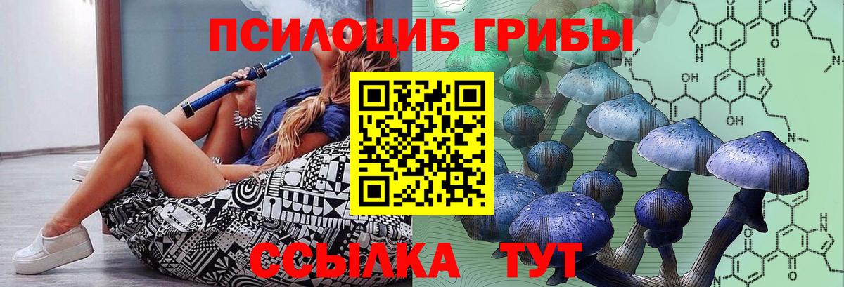 Галлюциногенные грибы Psilocybe Калининград