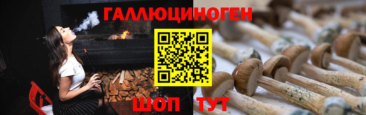 Калининград  Псилоцибиновые грибы мухоморы  Вход с VPN 
